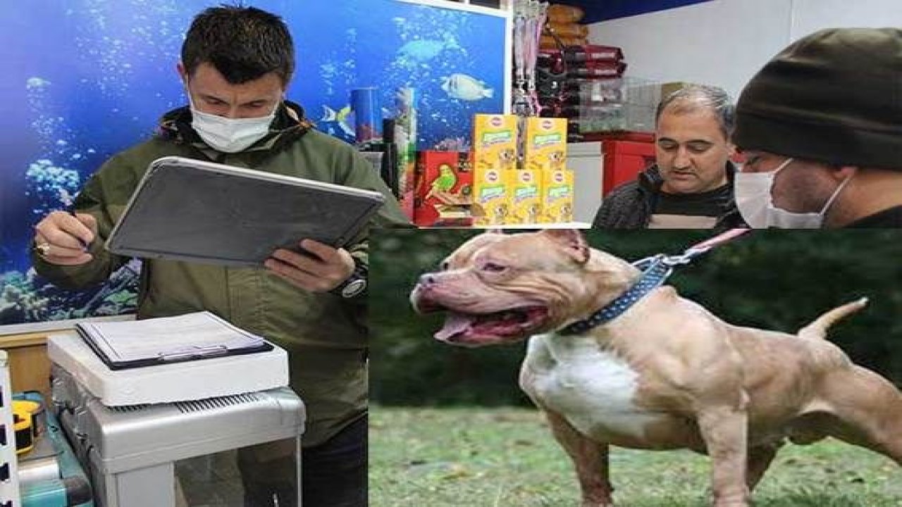 Video Haber...Gaziantep’te pitbull saldırısı sonrası pet shop denetimleri arttı