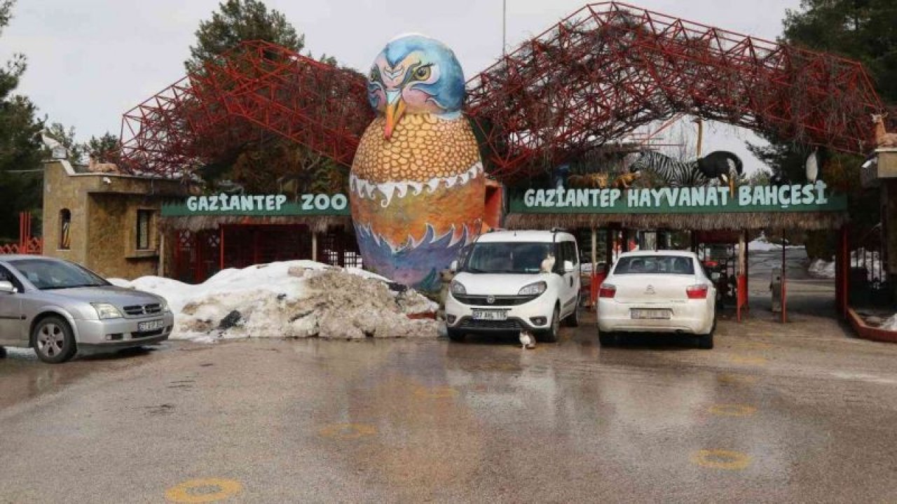 Video Haber...2021’de Gaziantep Hayvanat Bahçesini 2 milyon 750 bin kişi ziyaret etti