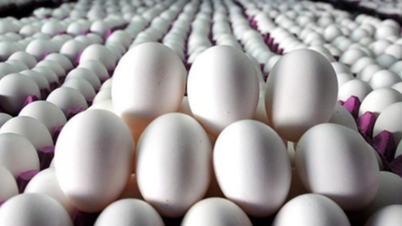 Tavuk yumurtası üretimi,yüzde 3,8 azaldı