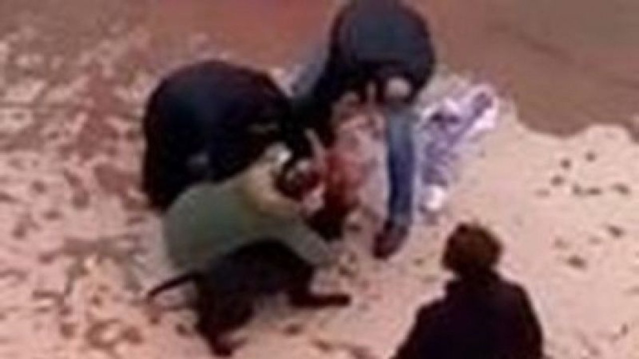 Son Dakika: Video Haber..Gaziantep'te Pitbull Köpeklerinin Saldırısına Uğrayan Minik Asiye’ye İlişkin Dava Başladı!