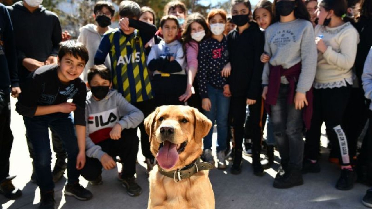 Gaziantepli öğrenciler eğitimli köpek "Fox" ile hem eğleniyor hem bilinçleniyor