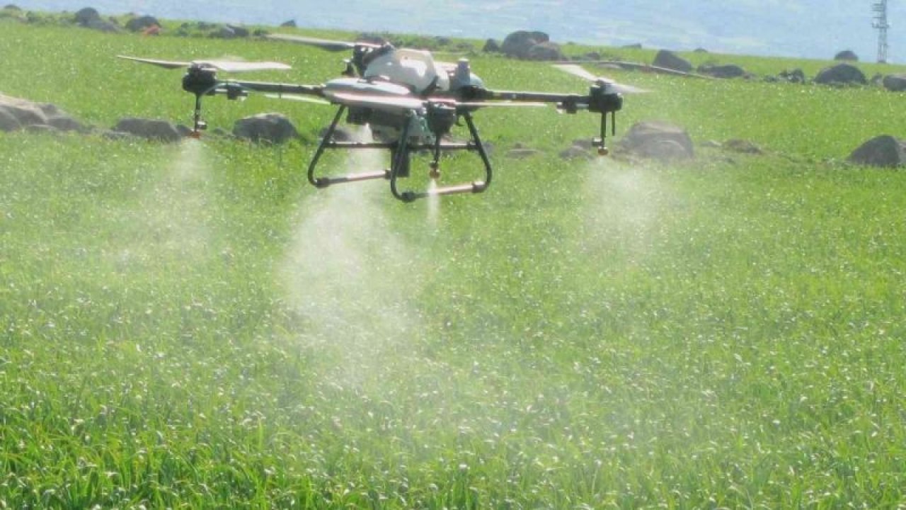 Araban’da sarımsak tarlaları dronla ilaçlandı