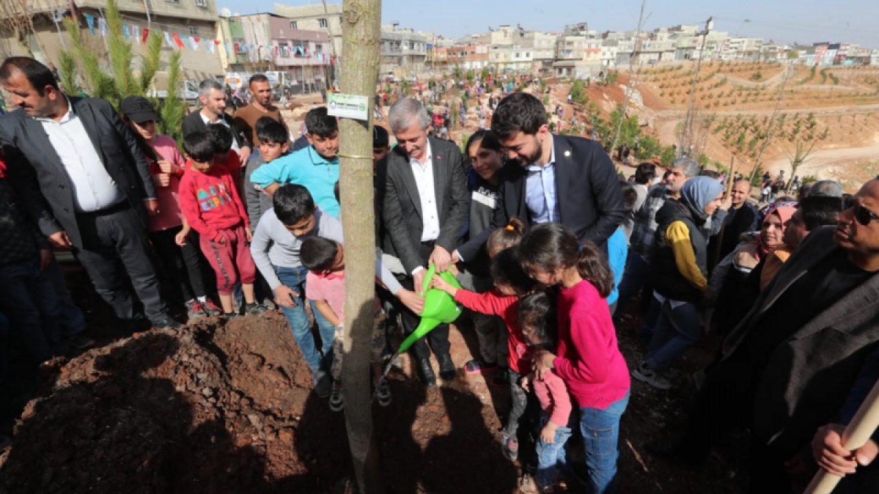 Şahinbey'in ağaçlandırma çalışmaları devam ediyor