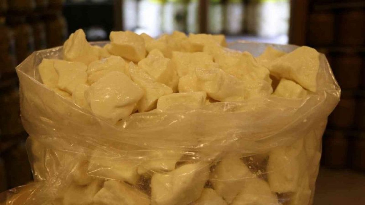 Gaziantep Peynirini Antepli Değil Avrupalı Yiyor! Gaziantep'te Baklavadan Sonra 'ANTEP PEYNİRİ 'de  ihracat rekoru Kırıyor!  Antep Peyniri  Artık 'AVRUPALI'