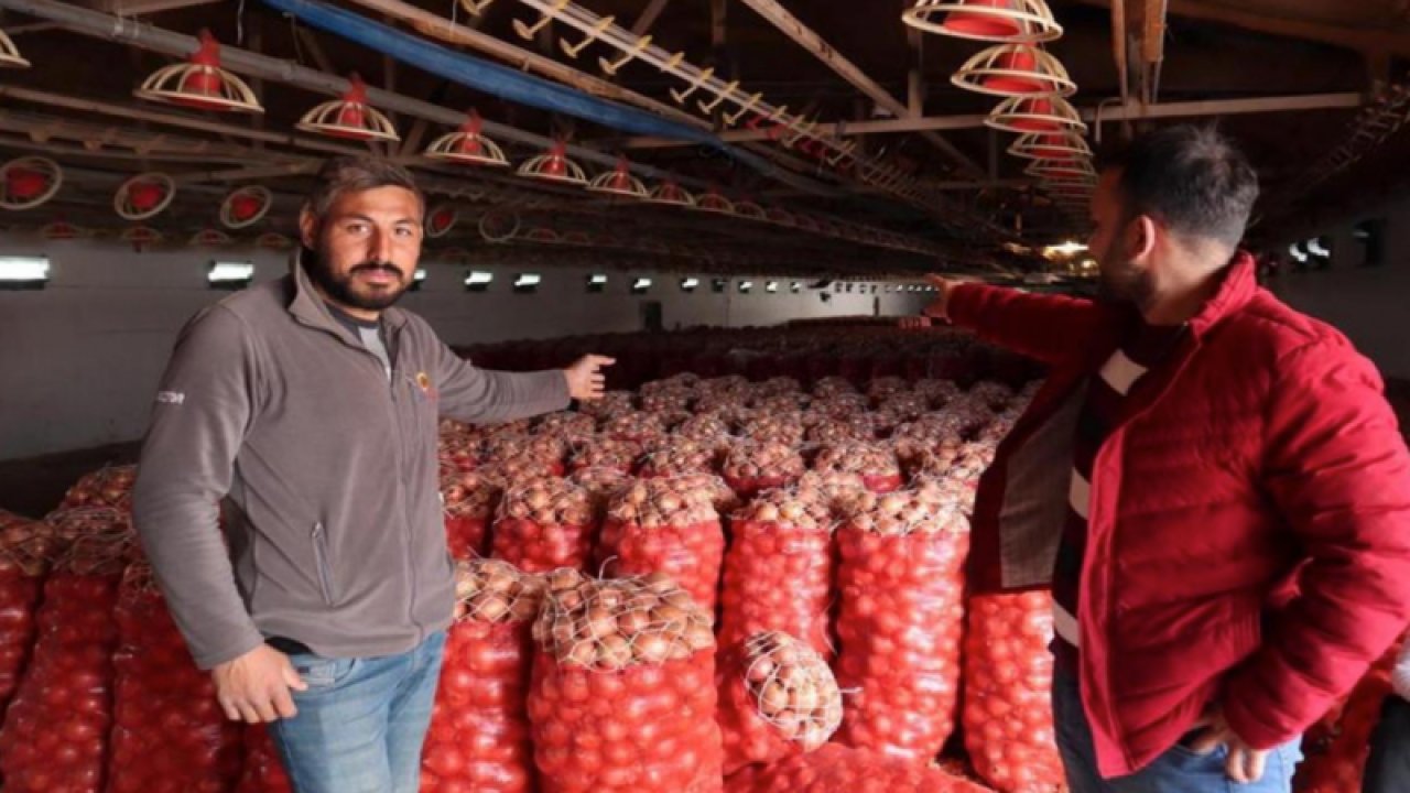 Soğan tarlada 80 kuruş markette 5-6-7 TL.   Çiftçiler isyan etti: Vatandaş alamıyor, onlar ise depolarda çürüyor