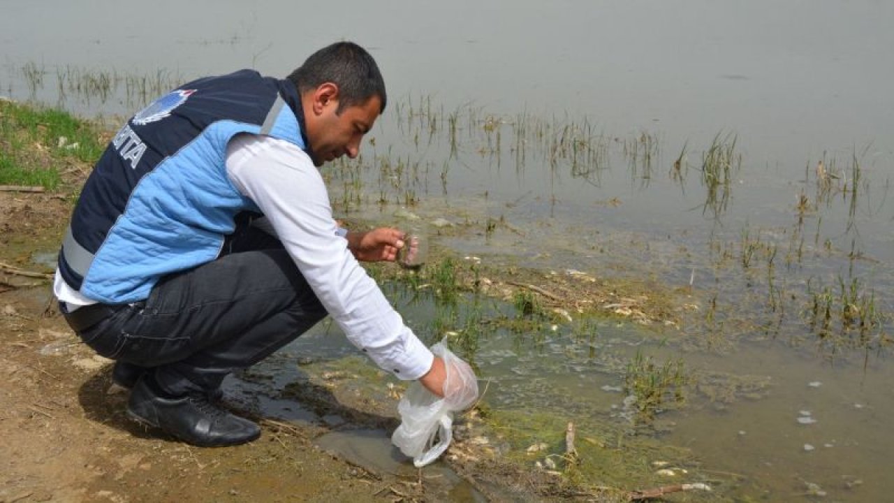 Gaziantep'te Tahtaköprü Barajı'ndaki balık ölümleriyle ilgili inceleme başlatıldı