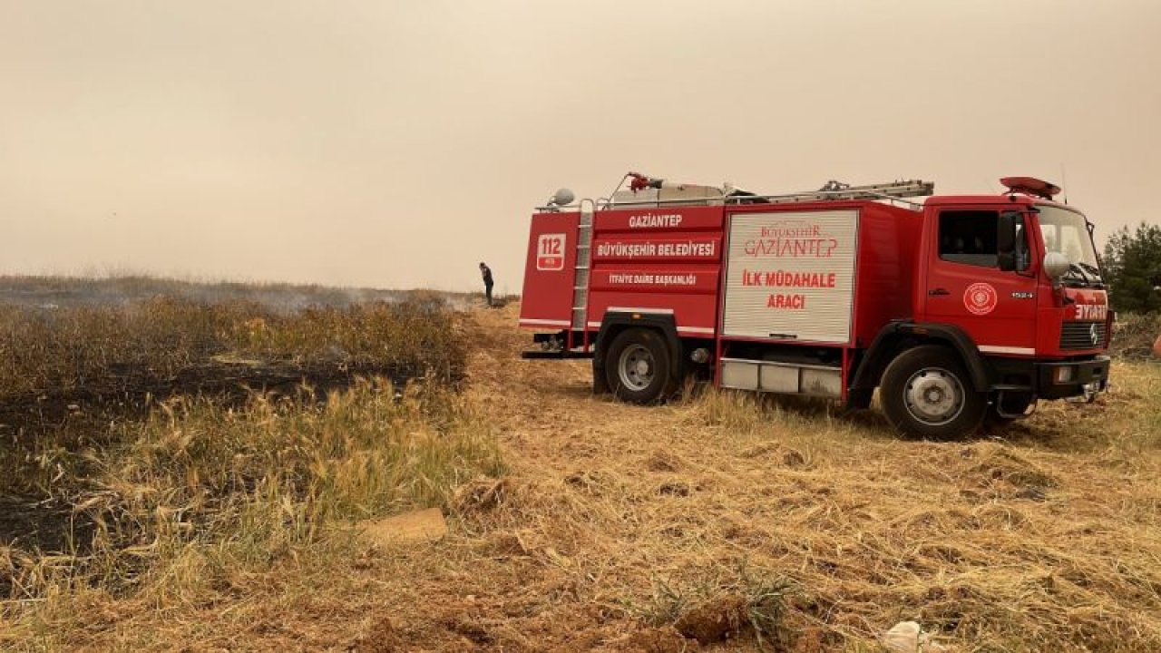 Gaziantep'in  Küçükkızılhisar Mahallesi'nde 15 dönüm tarım arazisi yangında zarar gördü