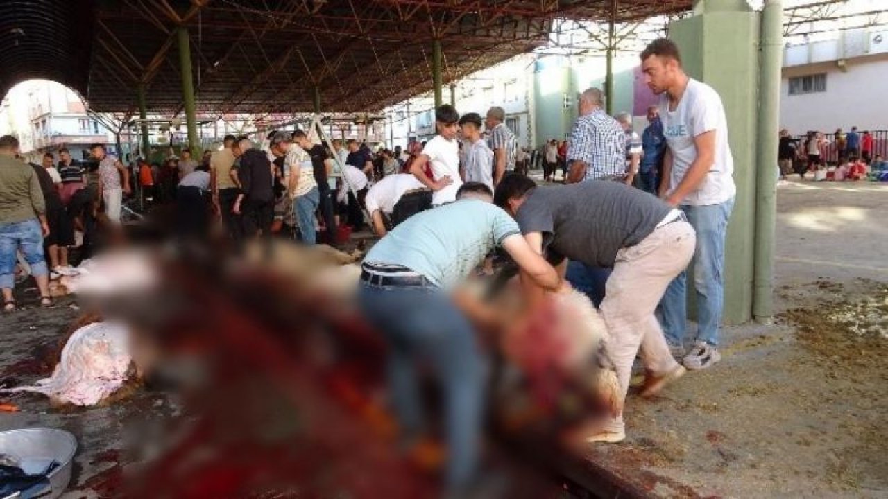 Gaziantep’te vatandaşların kurban kesim telaşı başladı