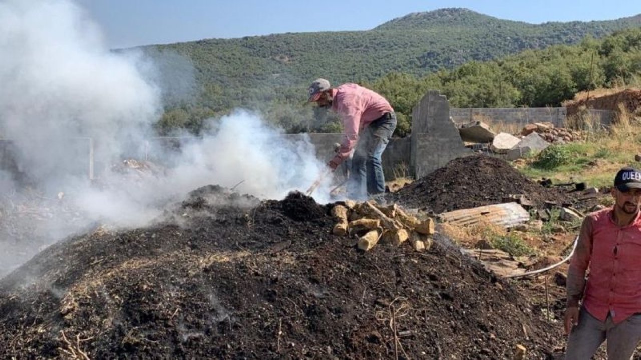 Gaziantep’in İslahiye ilçesinde bulunan Amanoslar’da meşe ağaçlarından elde edilen odunlardan mangal kömürü yapılıyor. Mangal kömürünün zorlu yolculuğu...TIKLA İZLE