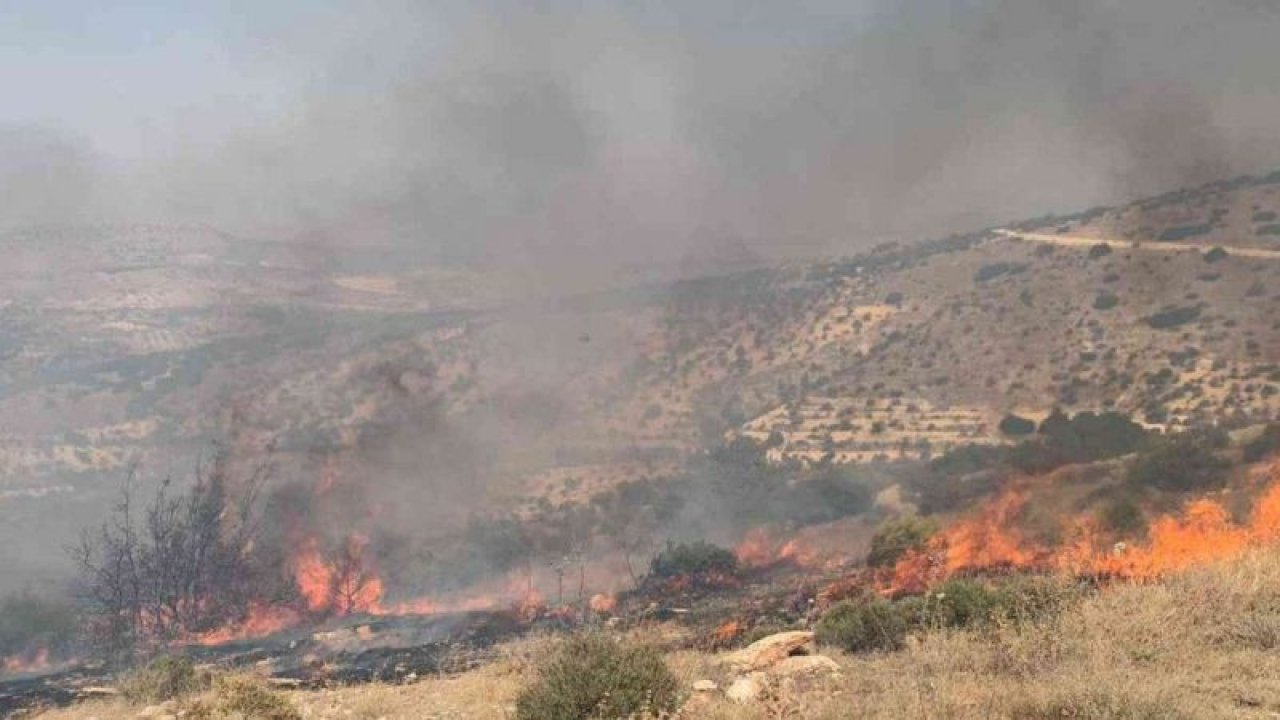 Gaziantep'te korkutan orman yangını! Nizip ilçesinde bir ormanlık alanın iki farklı bölgesinde yangın çıktı...Ekiplerin yangına müdahalesi sürüyor.