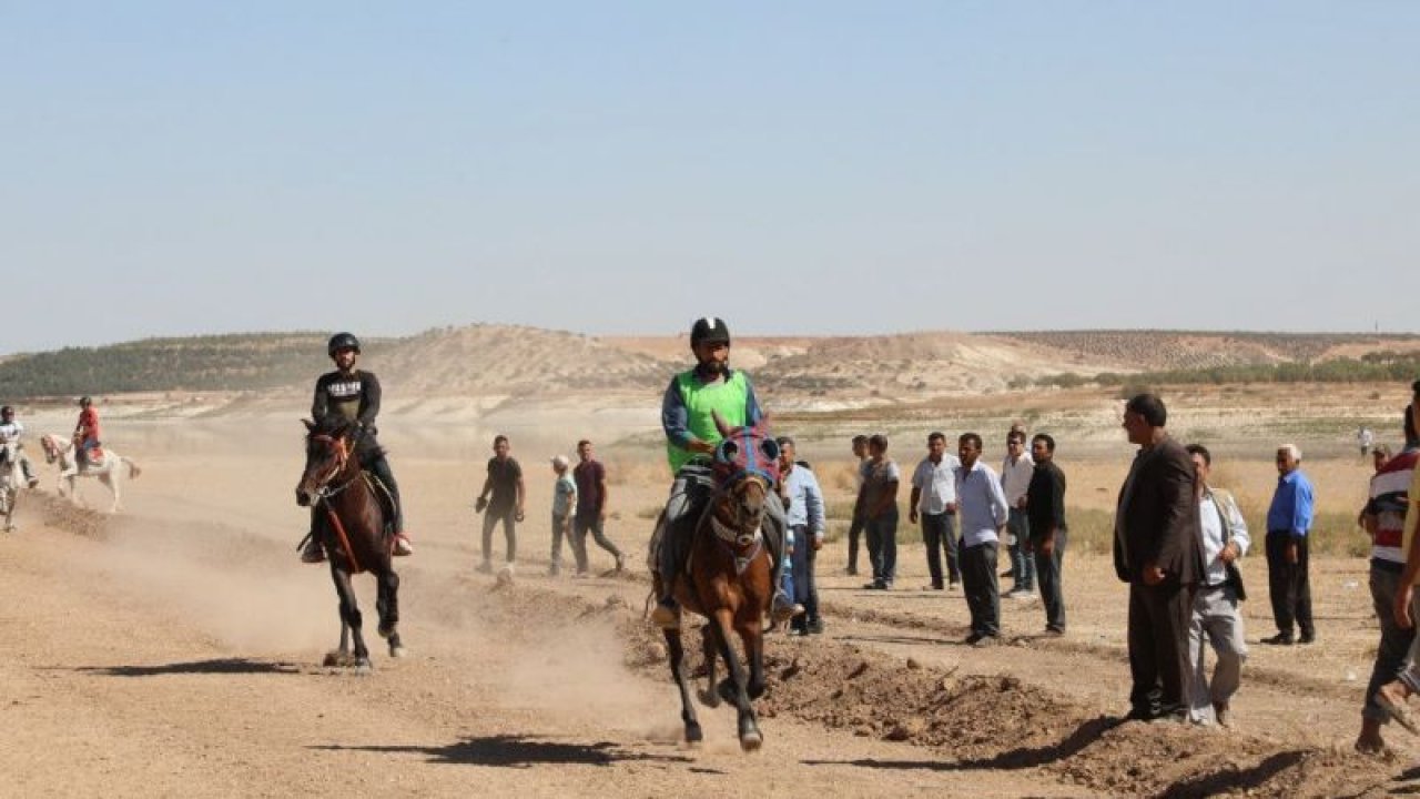 Gaziantep'te At Yarışı Yapıldı! Rahvan At Yarışları, Gaziantep'te yapıldı