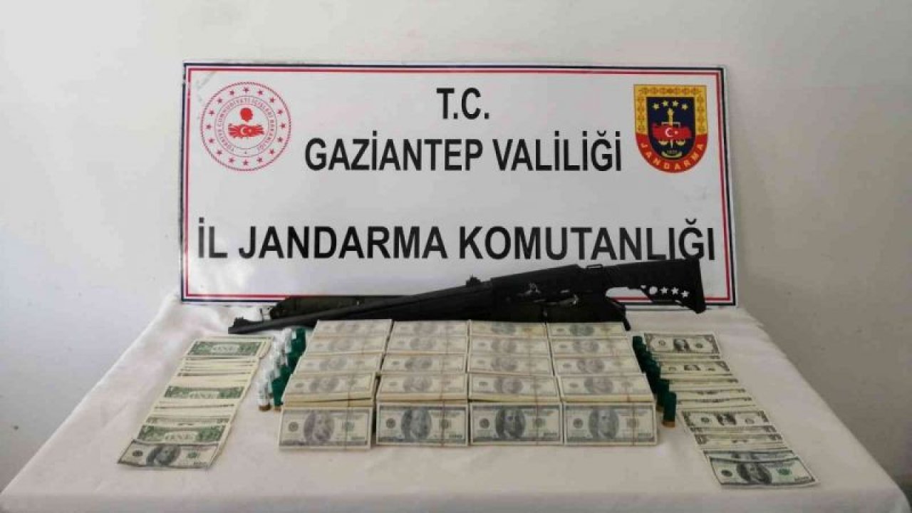 Gaziantep’te Jandarmadan dev operasyon... 10 bin adet sahte 100 dolar ele geçirildi: 57 gözaltı
