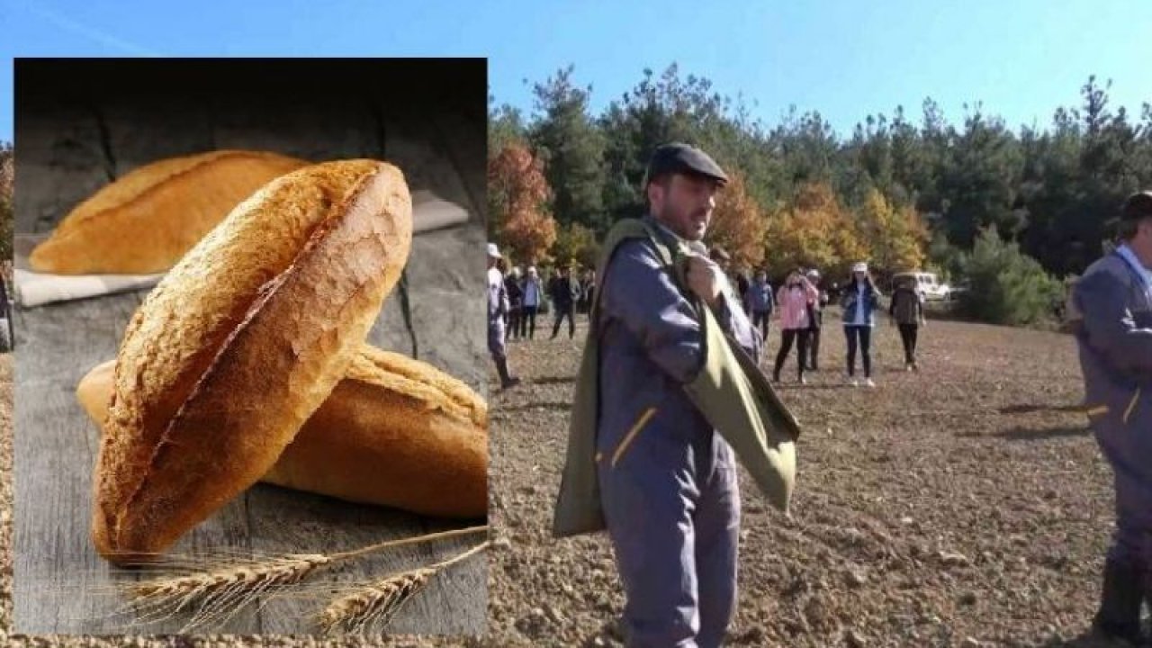 Türkiye’nin en ucuz ekmeği BURADA...  3 yıldır 400 gram ekmek 1 TL. Gaziantep'te Ekmek Neden Daha Ucuz Olmuyor?  YORUMLARINIZI BEKLİYORUZ