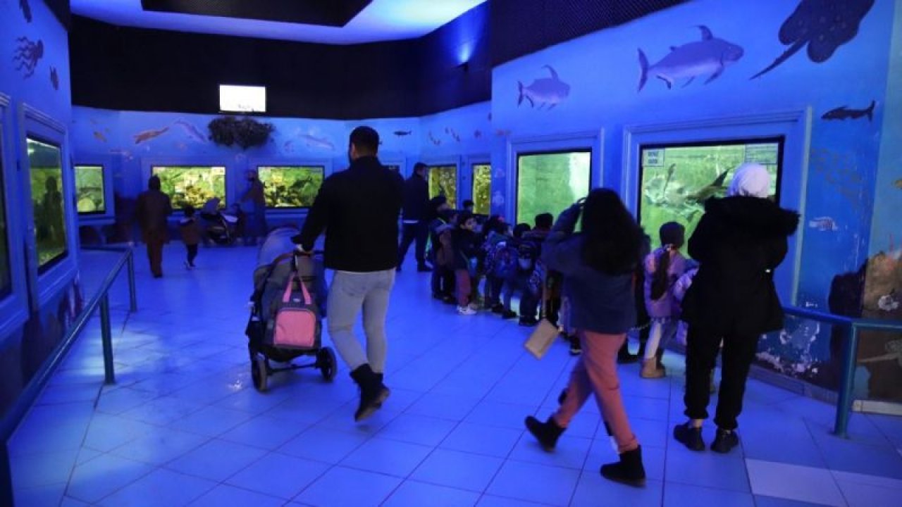 Gaziantep Hayvanat Bahçesi’ni 2022’de 5 milyon kişi ziyaret etti