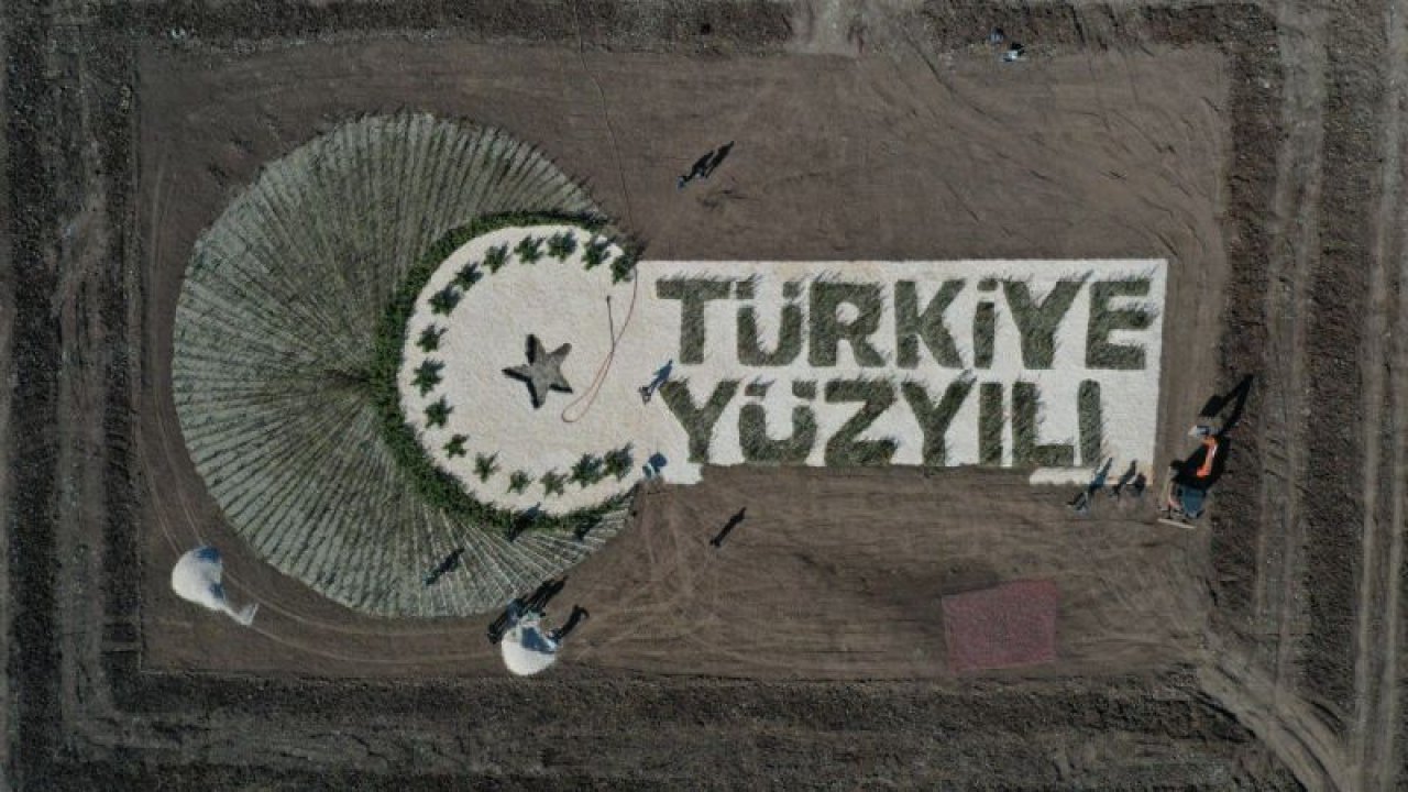 Gaziantep'te 100 bin fidanla "Türkiye Yüzyılı" logosu oluşturuldu