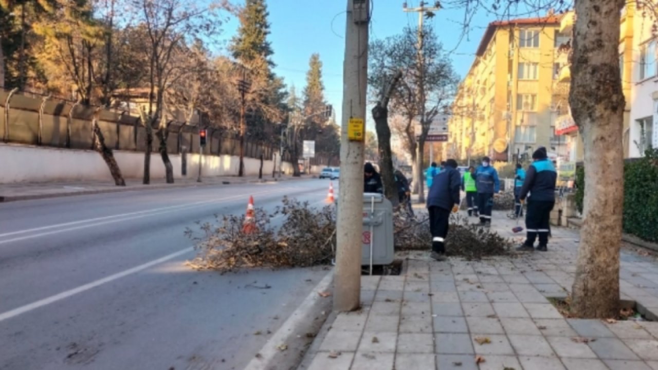 Ordu Caddesi’nde ağaç gençleştirme budaması yüzünden bölgeye saatlerce elektrik verilemedi