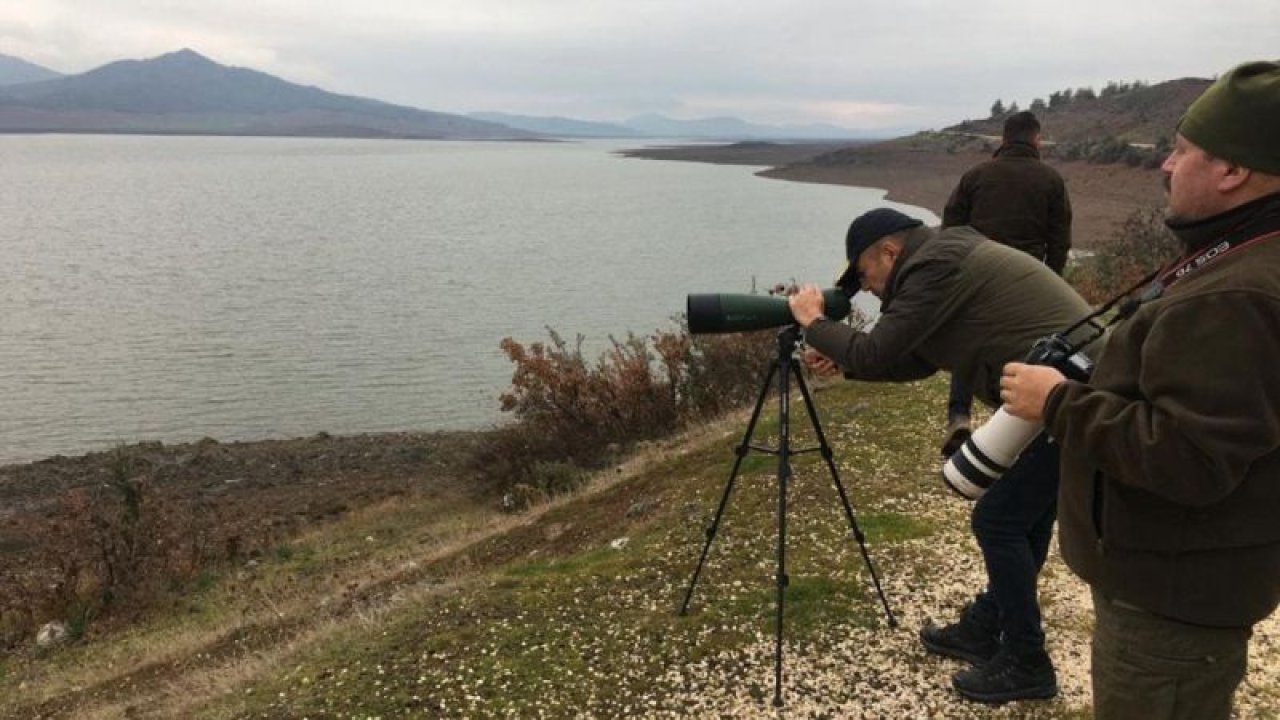 Tahtaköprü Baraj Göleti'nde Kış Ortası Su Kuşu sayımı yapıldı