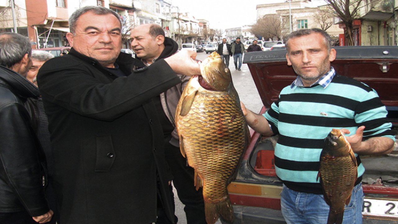 Kebap diyarı Gaziantep'te balık avlayarak geçimlerini sağlıyorlar