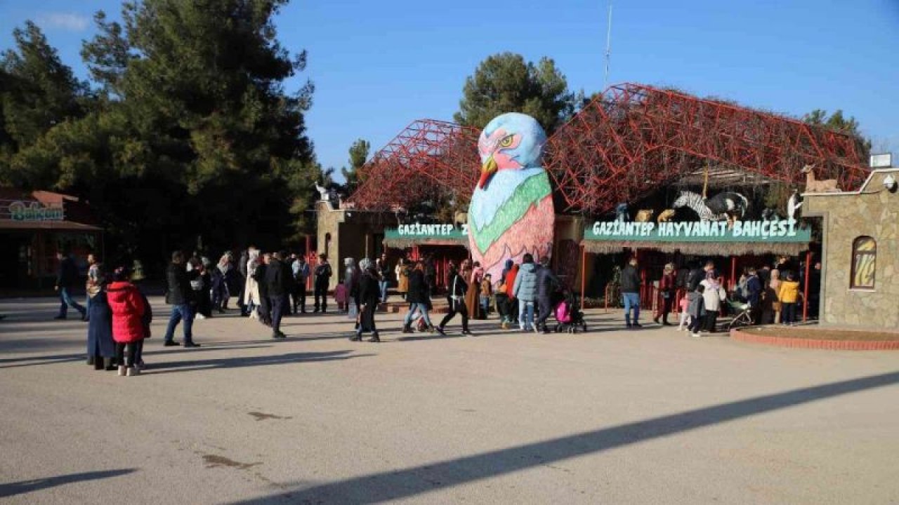 Gaziantep'te karneyi alan öğrenciler hayvanat bahçesine koştu