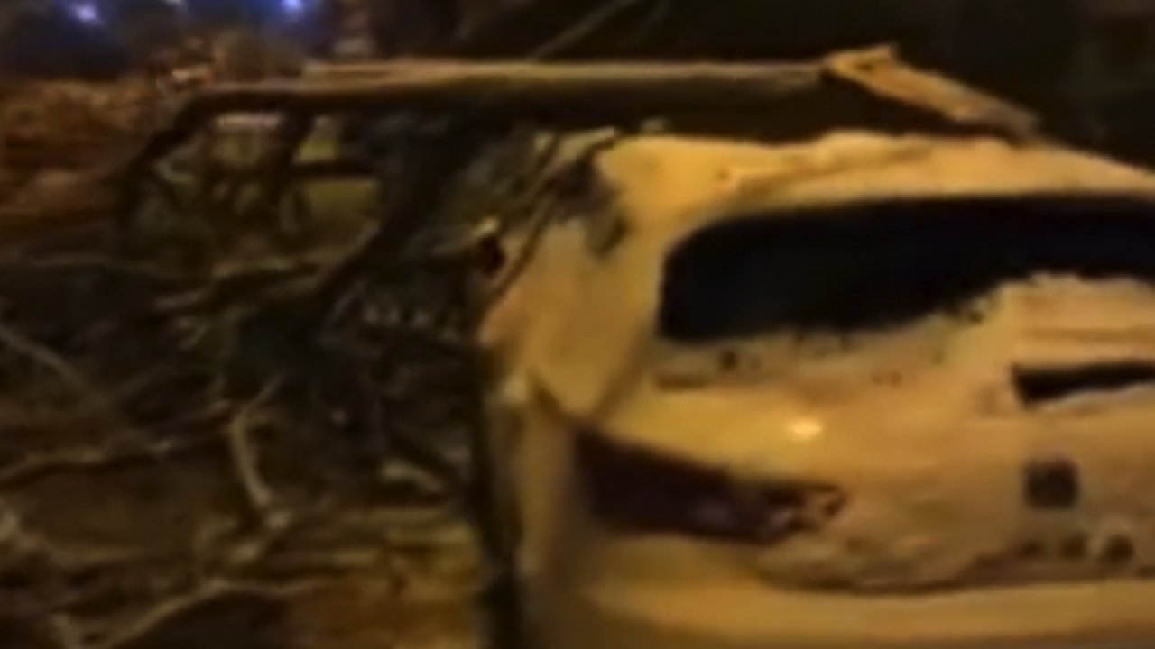 Gaziantep’te karın ağırlığına dayanamayan ağaçlar yıkıldı... Video Haber