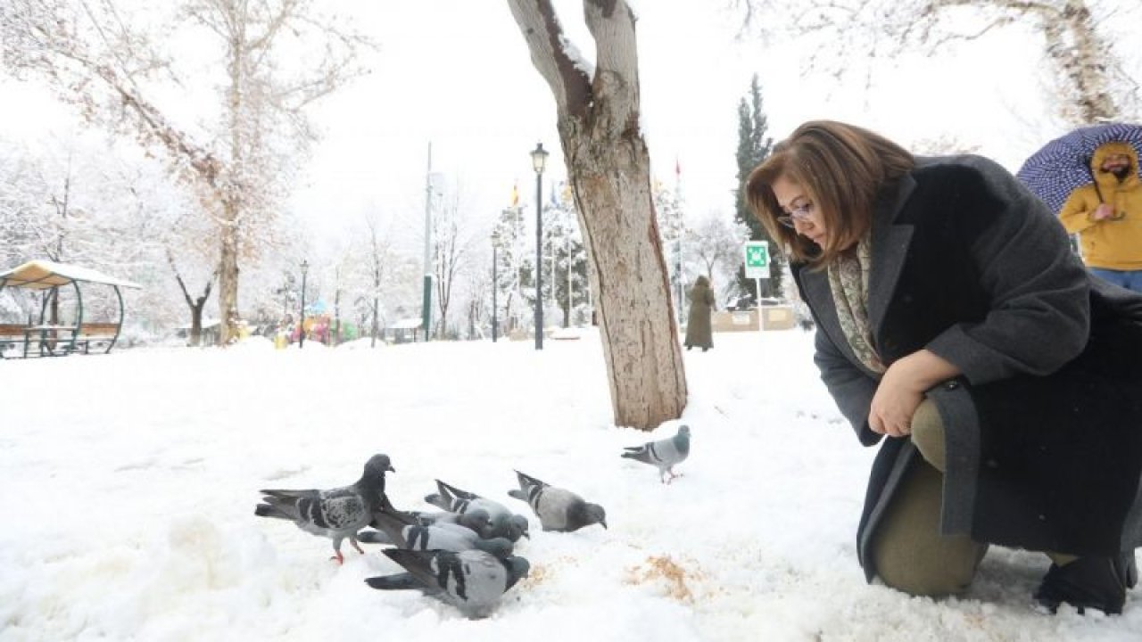 Gaziantep 'KAR'...Gaziantep'te karda yiyecek bulmakta zorlanan hayvanlara yem bırakıldı