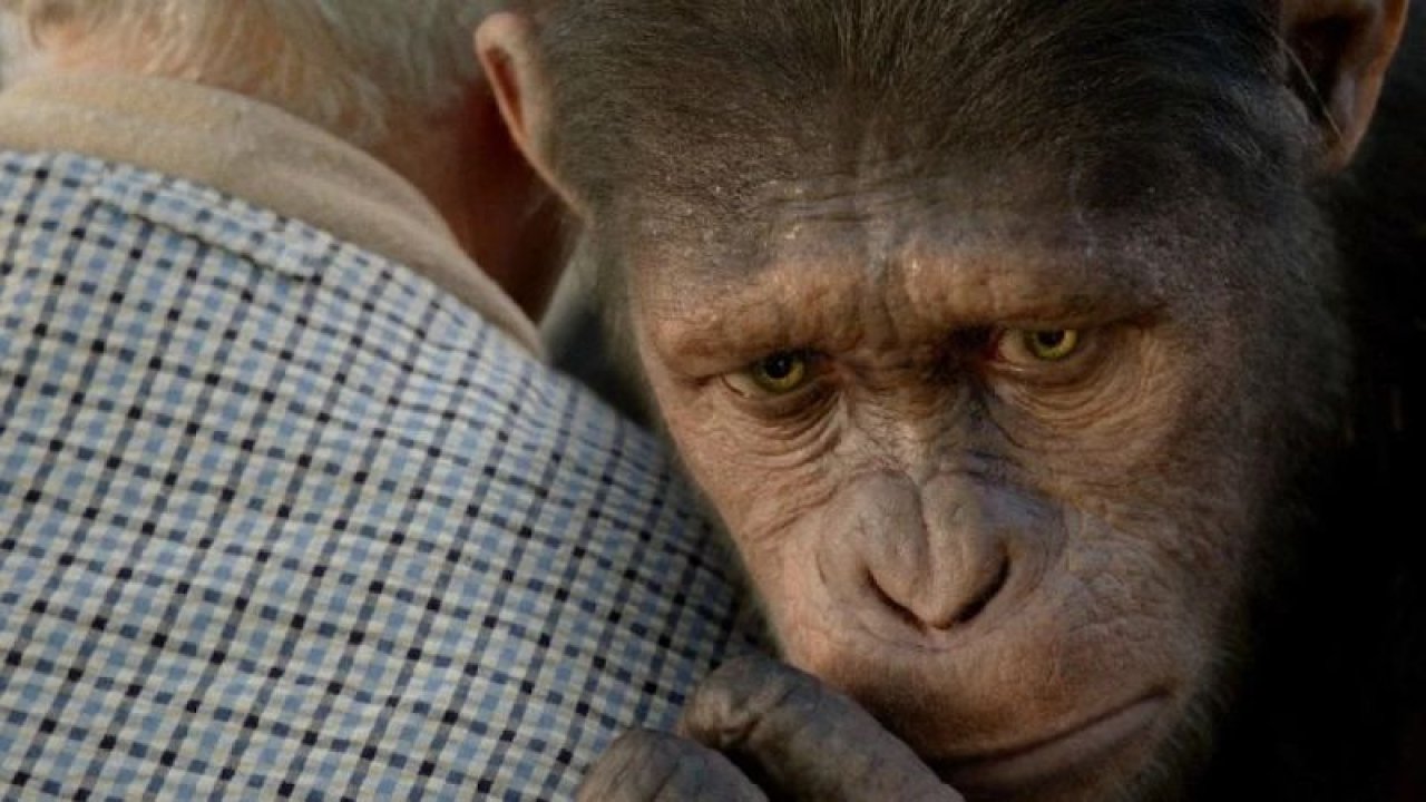 Maymunlar Cehennemi Başlangıç Filmi Bu Akşam Ekranlarda Yer Alacak! Konusu ve Oyuncu Kadrosu!