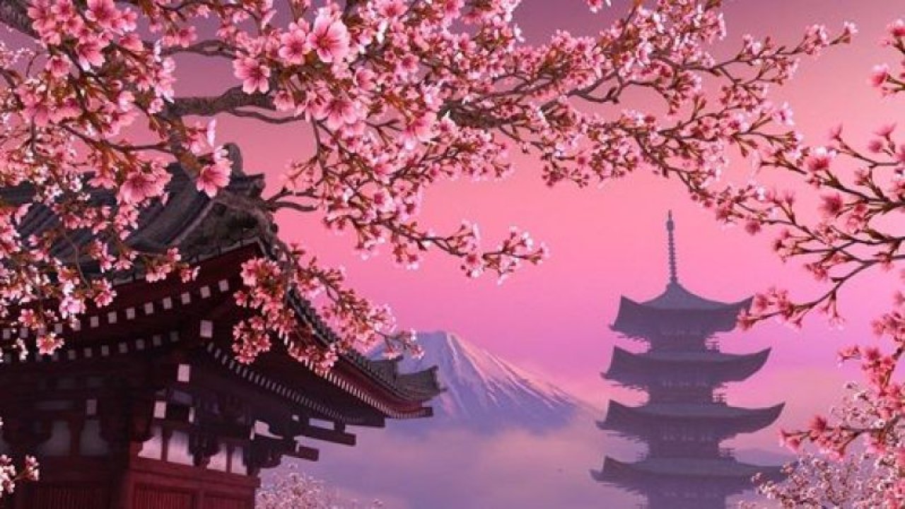 Japonların yaşam ve ölüm döngüsü "Sakura ağacı" İlkbahar ile 10 günlük hayat döngüsünü başlattı!