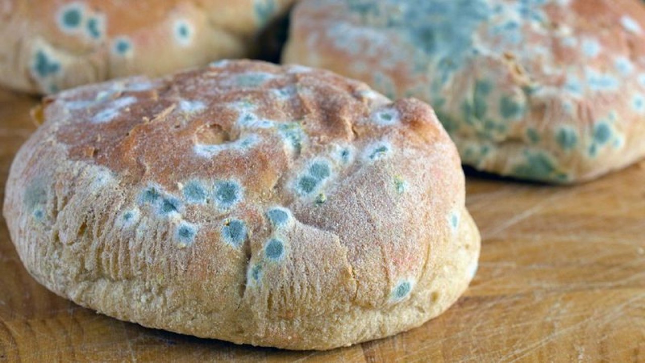 Ekmeği küflenmesini önlemenin en etkili yolları! Alüminyum folyo ve ekmek kutusu kullanın: Ekmeği dondurucuya atın