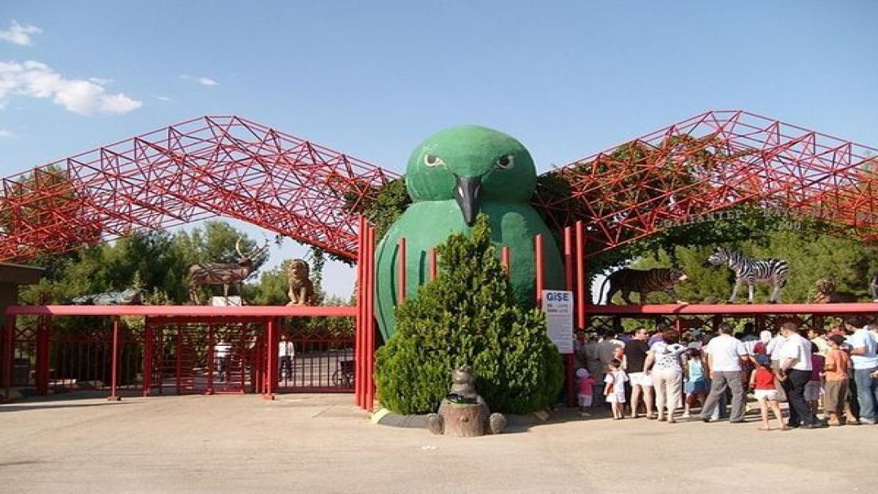 Bu Hayvanat Bahçesi Avrupa İkincisi! Gaziantep’teki Hayvanat Bahçesi Ziyaretçi Rekoru Kırıyor!