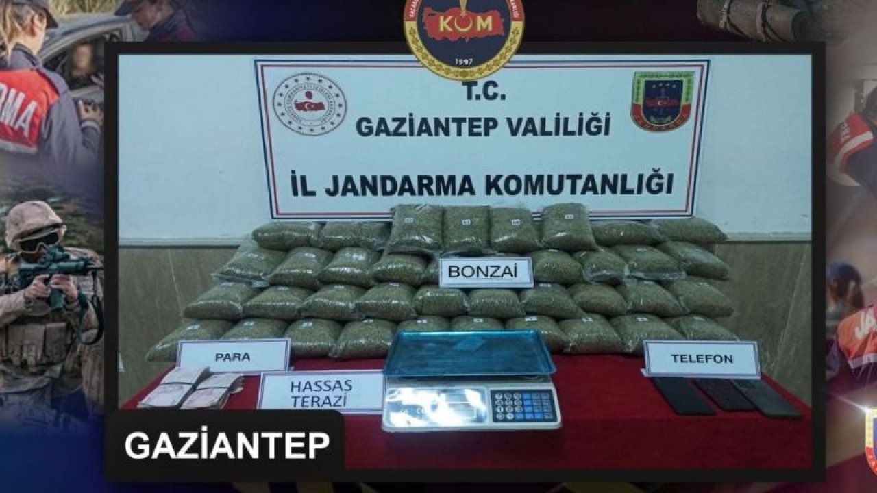 Jandarma'nın Gaziantep ve Diyarbakır'da gerçekleştirdiği uyuşturucu operasyonunda 278 kilo uyuşturucu ele geçirildi