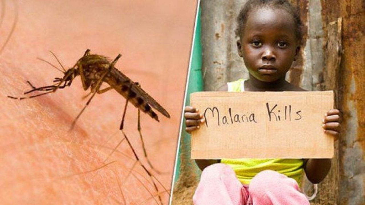 Sıtma Vakalarında Artış! Güney Afrika’da Sıtma İçin Alarm Verildi!
