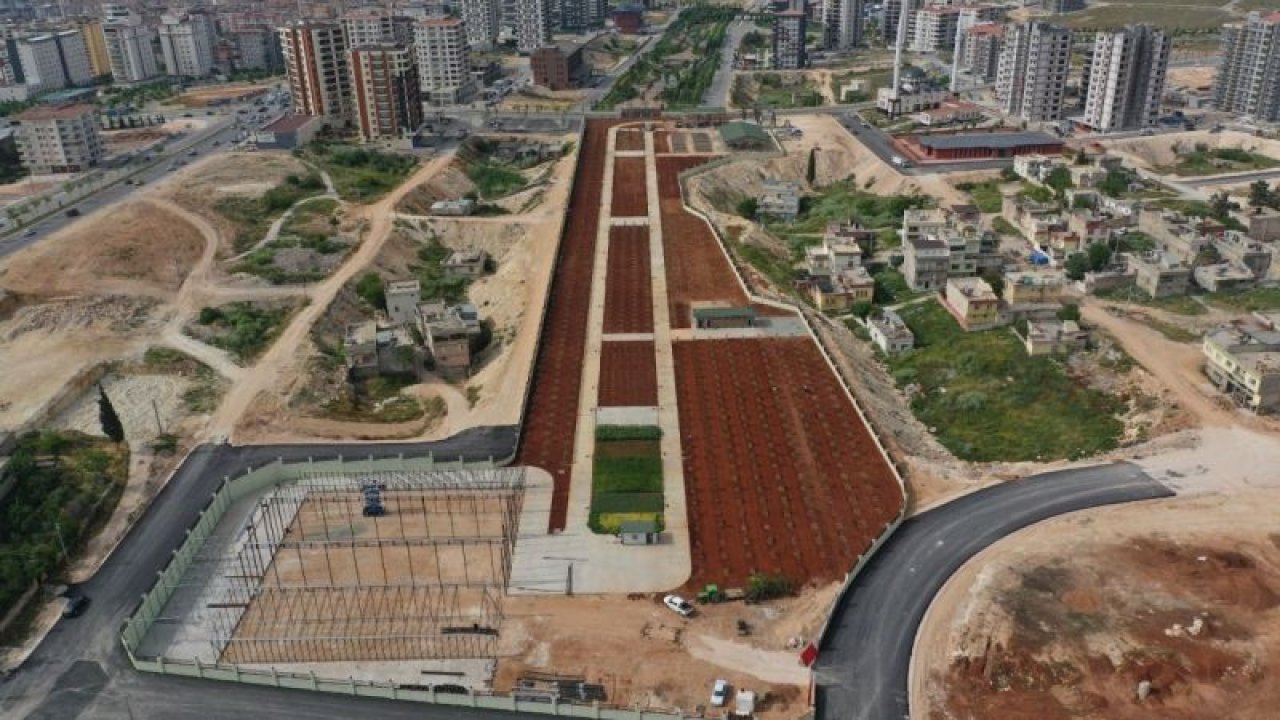 Milletvekili Gül ve Başkan Fadıloğlu Şehitkamil Vadi Park ile yapımı süren AGRO Park’ı yerinde inceledi