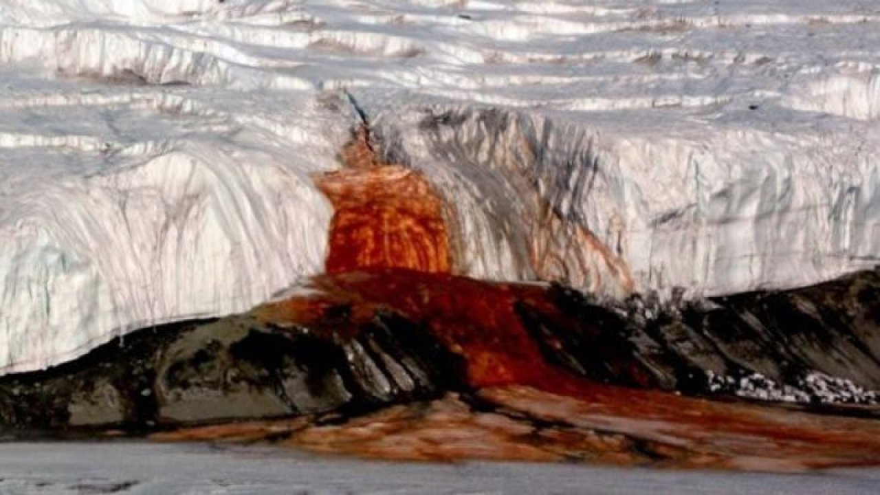 Antarktika'daki kan şelaleleri: Doğanın sırrı çözülüyor mu?