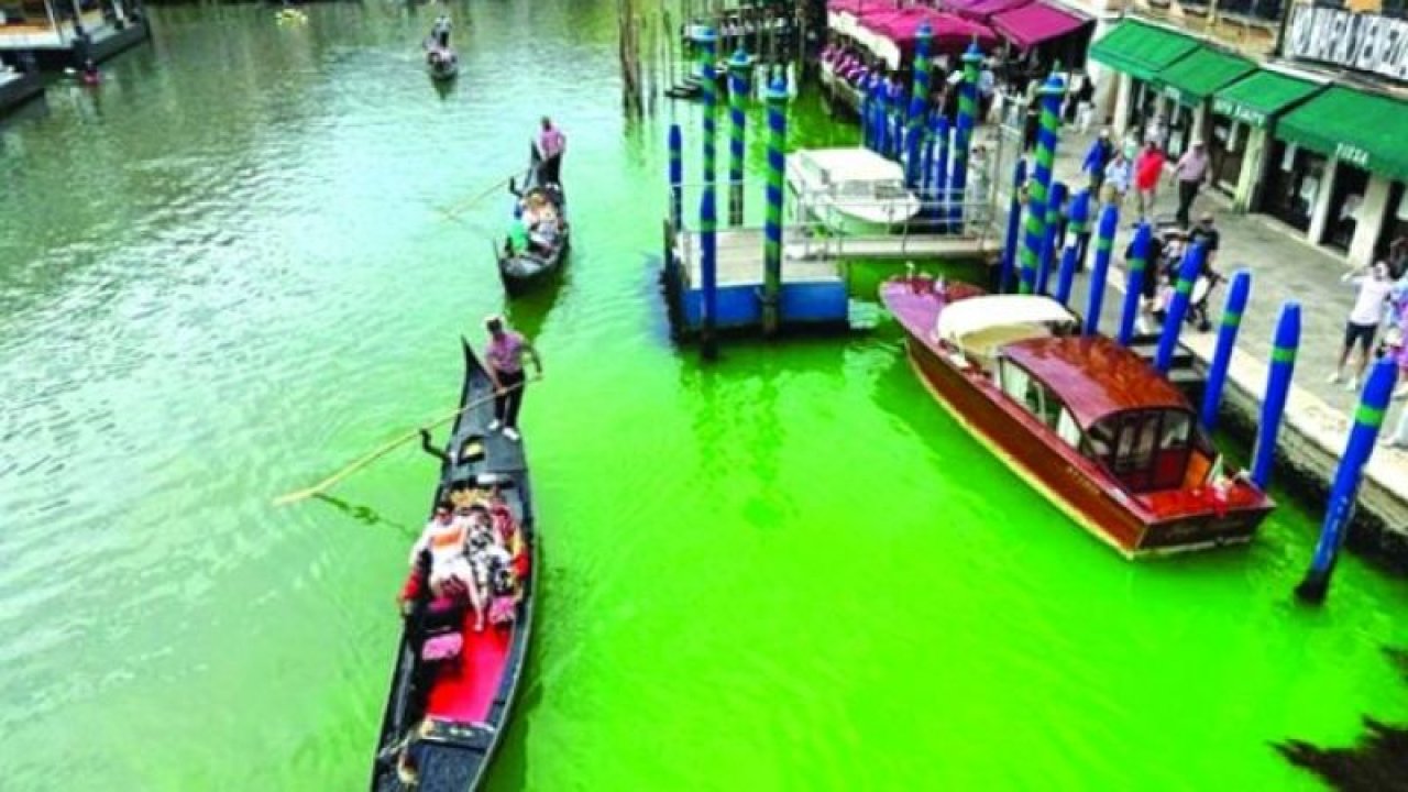 Çevreci aktivistlerin işi mi? Venedik Kanalı yemyeşil oldu!