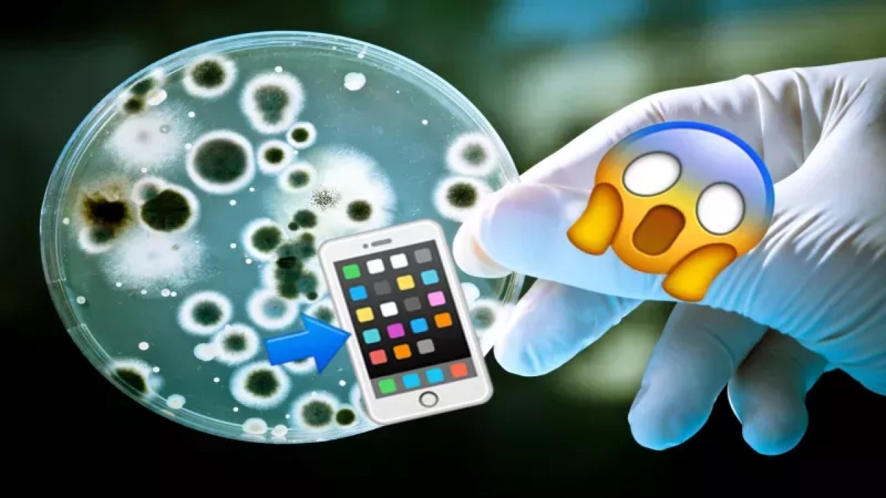 Cep Telefonları Hakkında Bilinmeyen Bir Gerçek: Telefonlar Bakteri Yuvası!