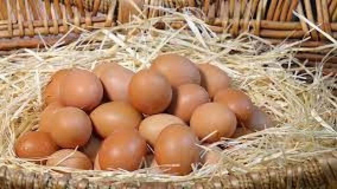 Uzmanlardan uyarı! Yumurta tüketirken dikkat edin! Demans riski var...