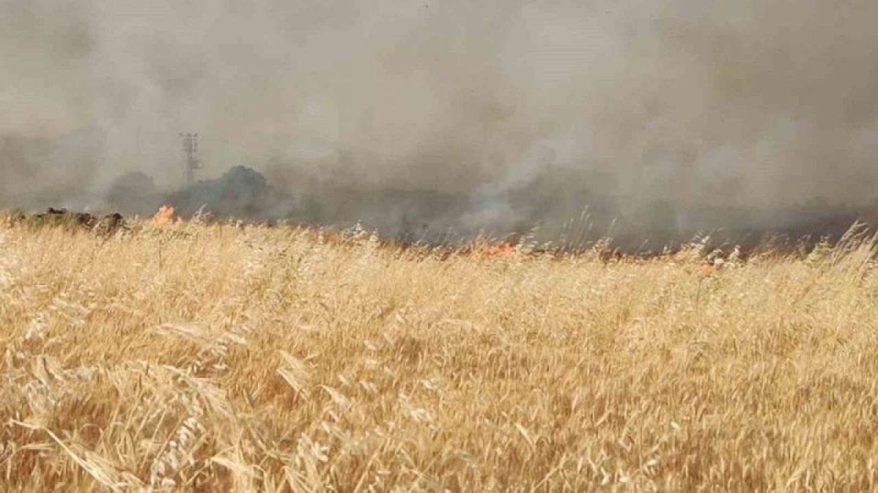 Gaziantep’te 7 bin dönüm buğday tarlası yandı... 3 SAAT BOYUNCA SÖNDÜRÜLEMEDİ