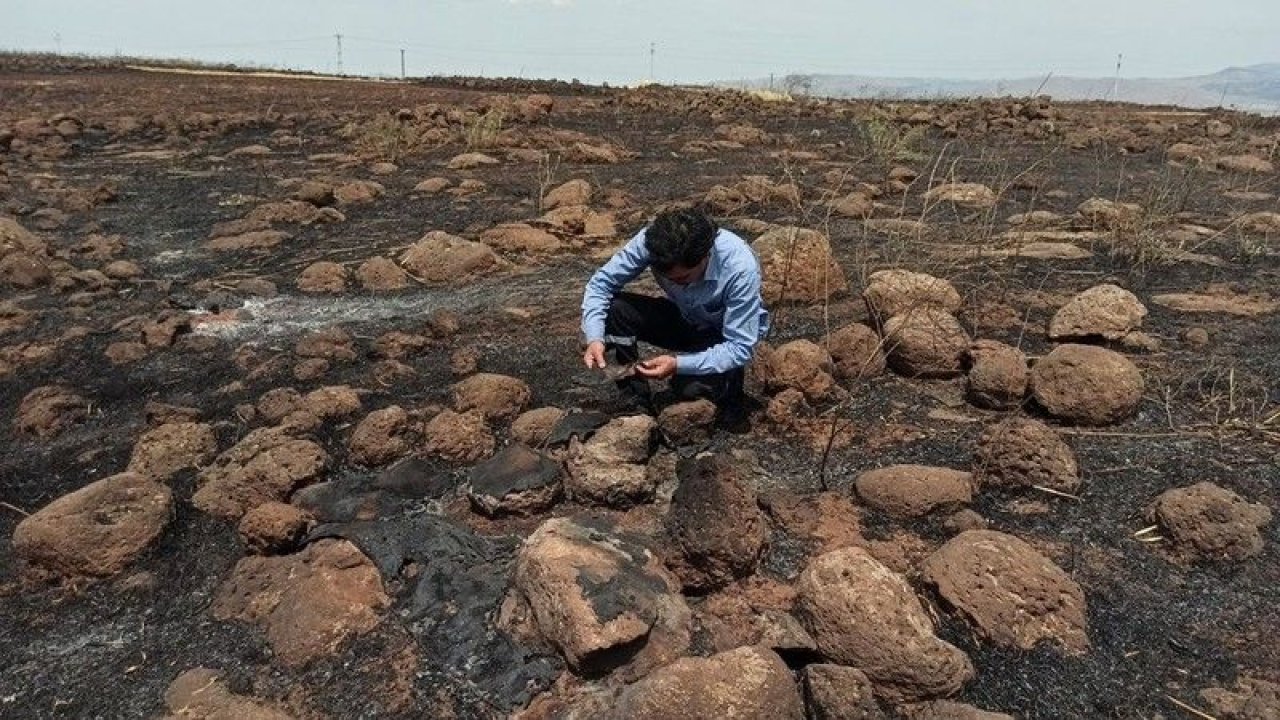 Gaziantep'in İslahiye ilçesindeki tarla yangını en büyük darbeyi çiftçiye vurdu
