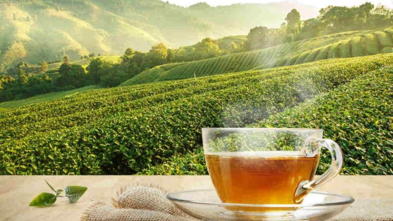 Sofralardan çayı kaldıran zam! Resmen açıklandı: Kuru çaya yüzde 43 zam geldi! 1 kg siyah çayın fiyatı…