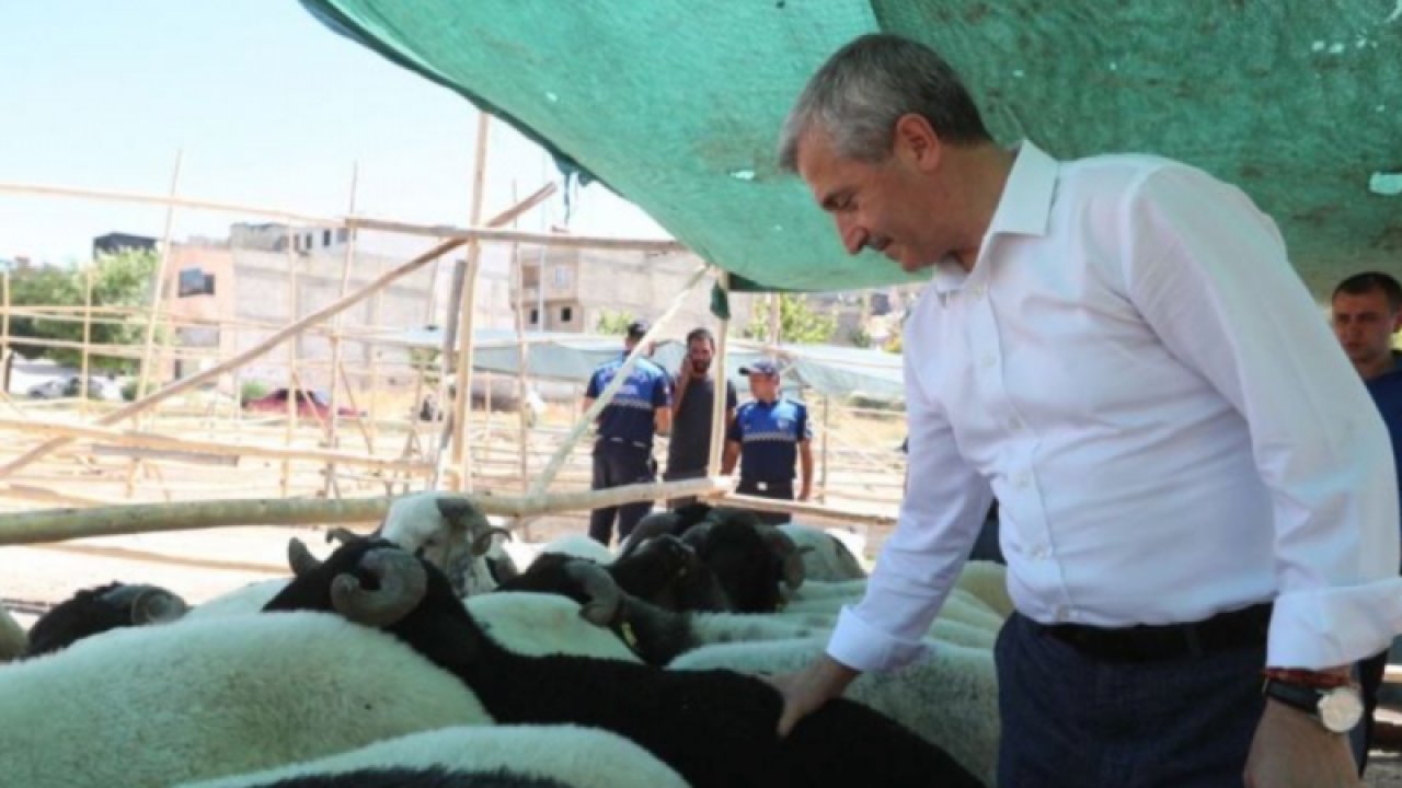 Gaziantep'in Şahinbey ilçesinde kurban satış ve kesim yerleri belirlendi.