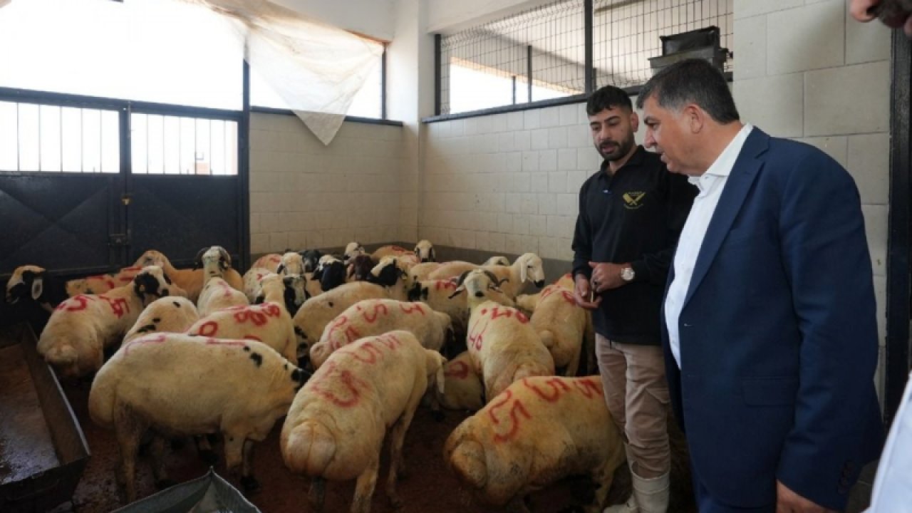 Gaziantep'in Şehitkamil İlçesi'nde yaşayan vatandaşlara duyurulur! İşte Şehitkamil Kurban Kesim Yerlerinin Listesi....