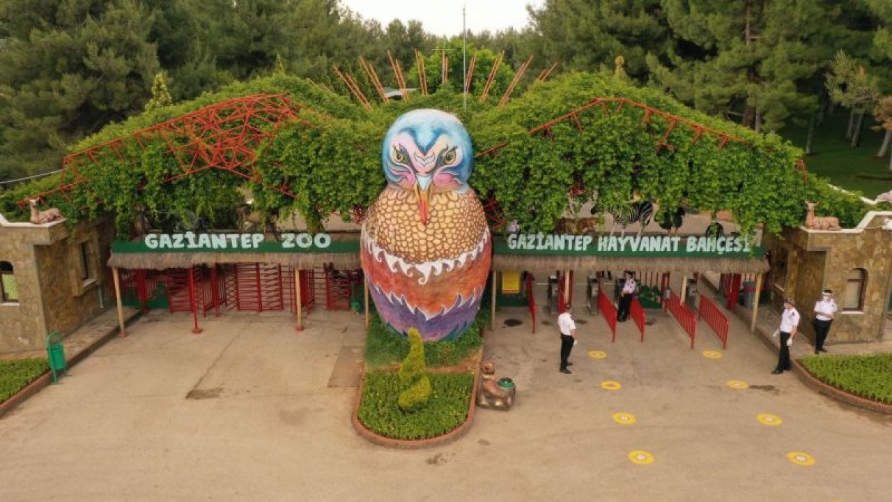 Gaziantep Hayvanat Bahçesi bayram tatilinde 100 bin kişiyi ağırladı