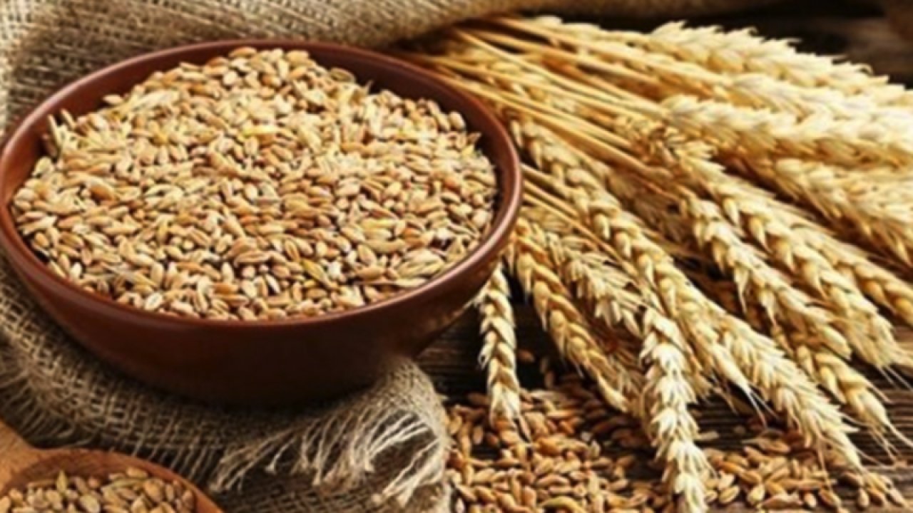 Gaziantep Ticaret Borsası 7 Temmuz 2023 Cuma Mercimek, Buğday, Arpa Ve Mısır Fiyatlarını Açıkladı