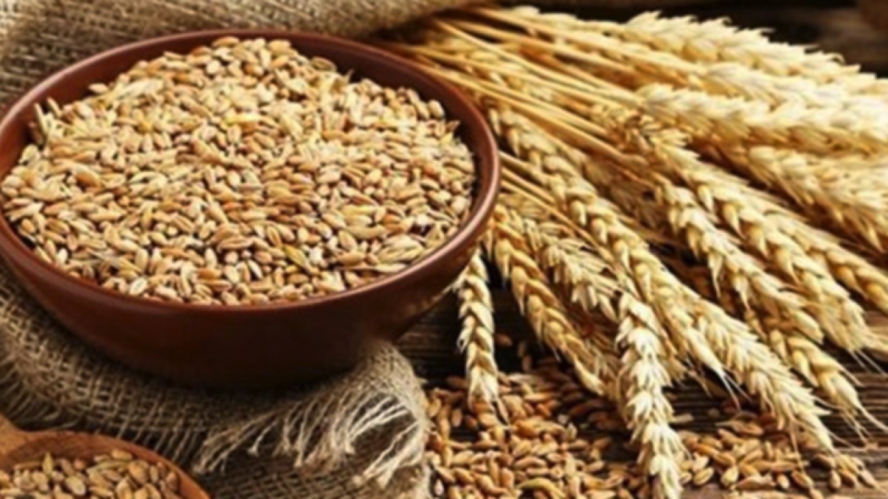 Gaziantep Ticaret Borsası 11 Temmuz 2023 Salı Mercimek, Buğday, Arpa Ve Mısır Fiyatlarını Açıkladı