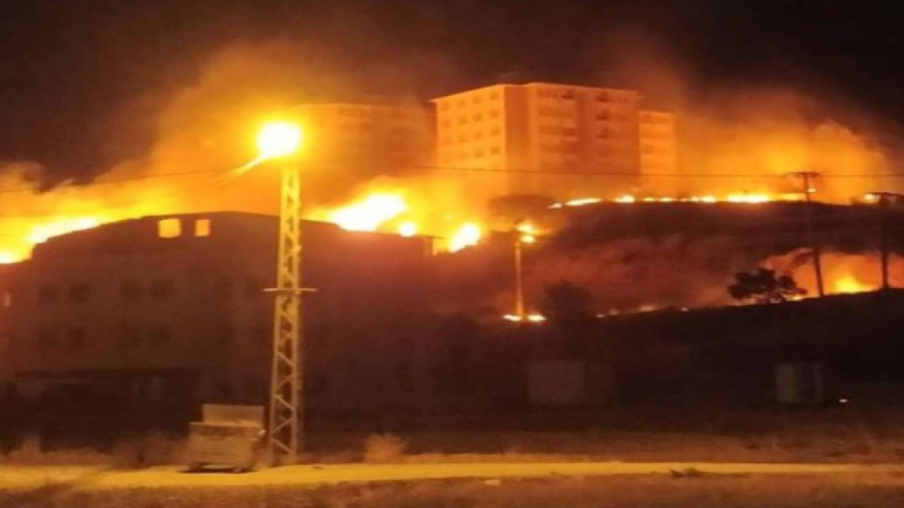Gaziantep'in İslahiye ilçesindeki otluk alanda çıkan yangında, Yüzlerce zeytin ağacı zarar gördü!