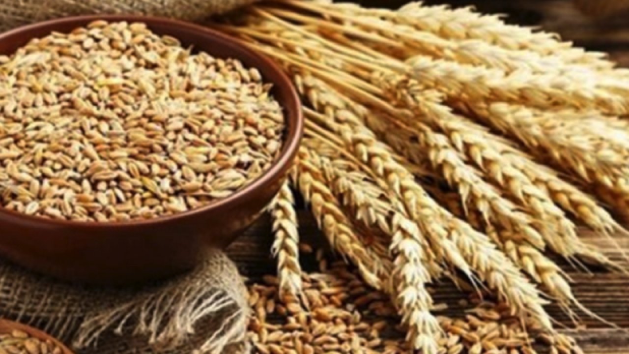 Gaziantep Ticaret Borsası 17 Temmuz 2023 Pazartesi Mercimek, Buğday, Arpa Ve Mısır Fiyatlarını Açıkladı