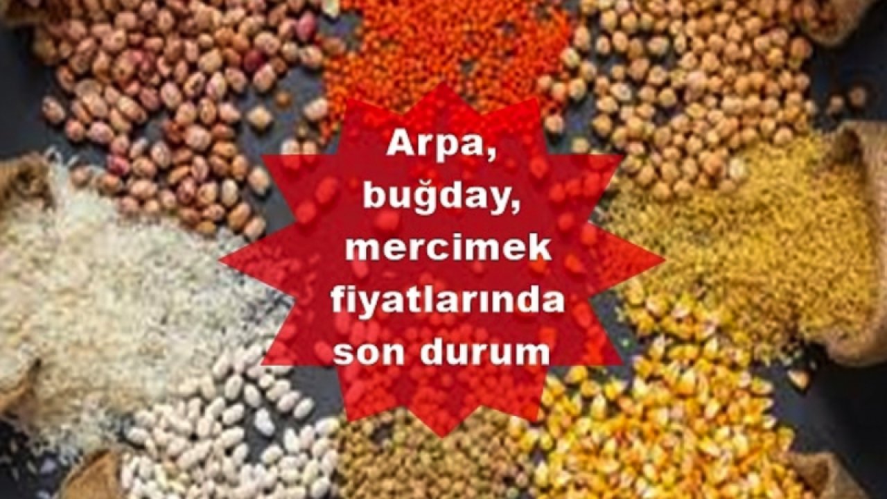 Gaziantep Ticaret Borsası 19 Temmuz 2023 Çarşamba Mercimek, Buğday, Arpa Ve Mısır Fiyatlarını Açıkladı
