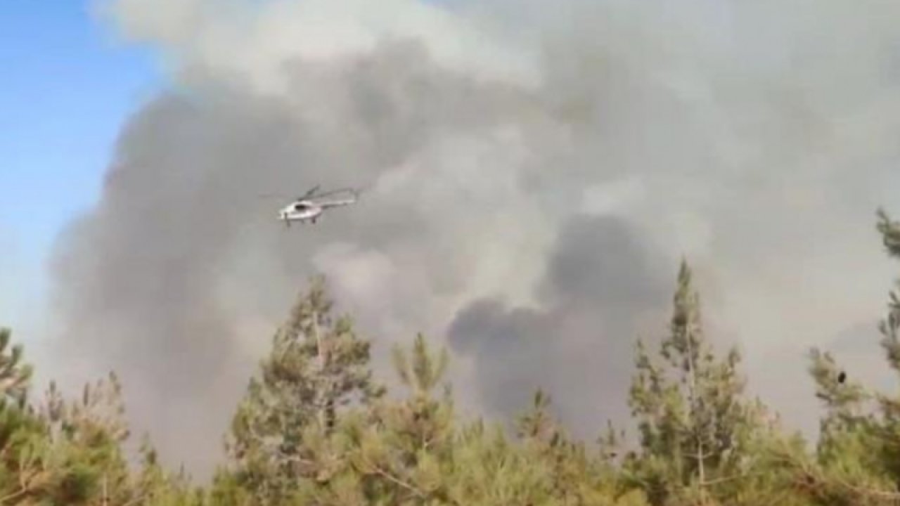 Gaziantep'te orman yangını 7 saat sonra kontrol altına alındı... Ekipler Soğutma Çalışmalarını Sürdürüyor... VİDEO HABER