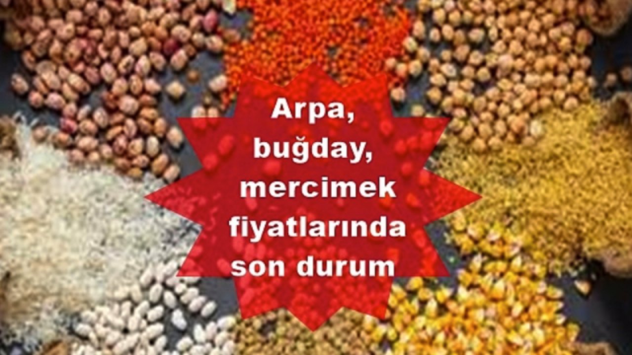Gaziantep Ticaret Borsası 20 Temmuz 2023 Perşembe Mercimek, Buğday, Arpa Ve Mısır Fiyatlarını Açıkladı
