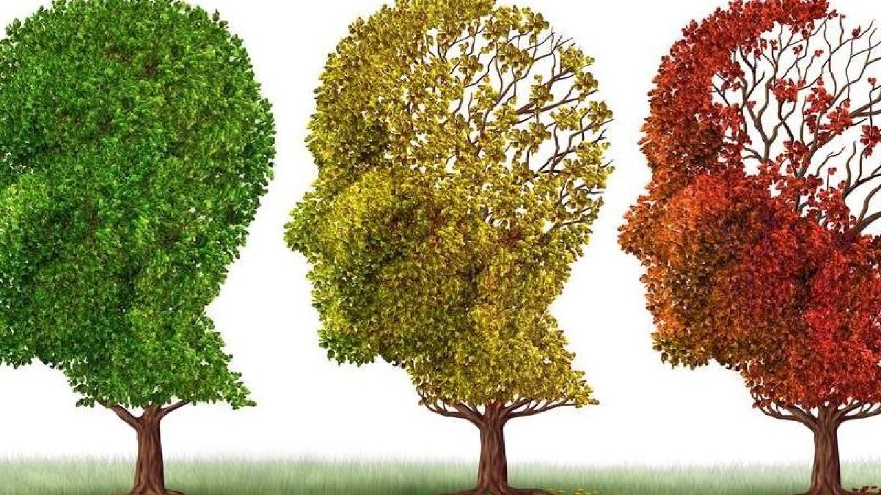 Alzheimer Teşhisinde Yeni Bir Gelişme: Bir Damla Kan Erken Teşhisi Mümkün Kılıyor!